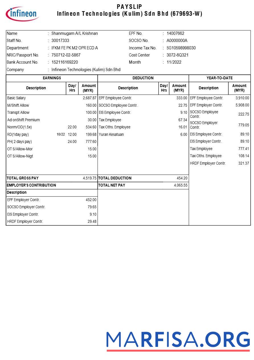 Blank Infineon Technologies payslip template